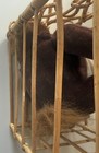 Bild 8 von 8