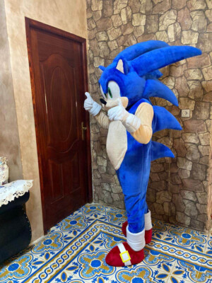 Sonic Boom Sonic Vestito Di Carnevale Mascot Costume Sonic The
