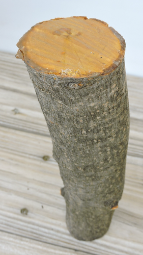 10" Apple Wood Stick Log Chunk Carving Blank Staff Crafts Straight 2 1/8~2 3/8"D - Picture 6 of 11