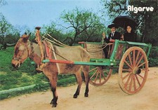 PORTUGAL TAVIRA FOLKLORIC RANCH OF SULUZIA