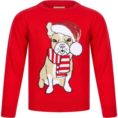 Weihnachtspullover Weihnachtsmann Hund Junior - rot