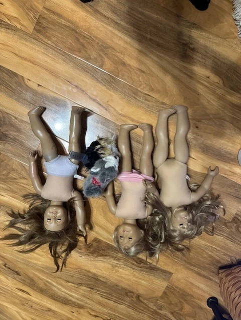 Gran Lote de Muñecas American Girl Ropa Accesorios Zapatos Mascotas AUTÉNTICOS Foto 3 de 4