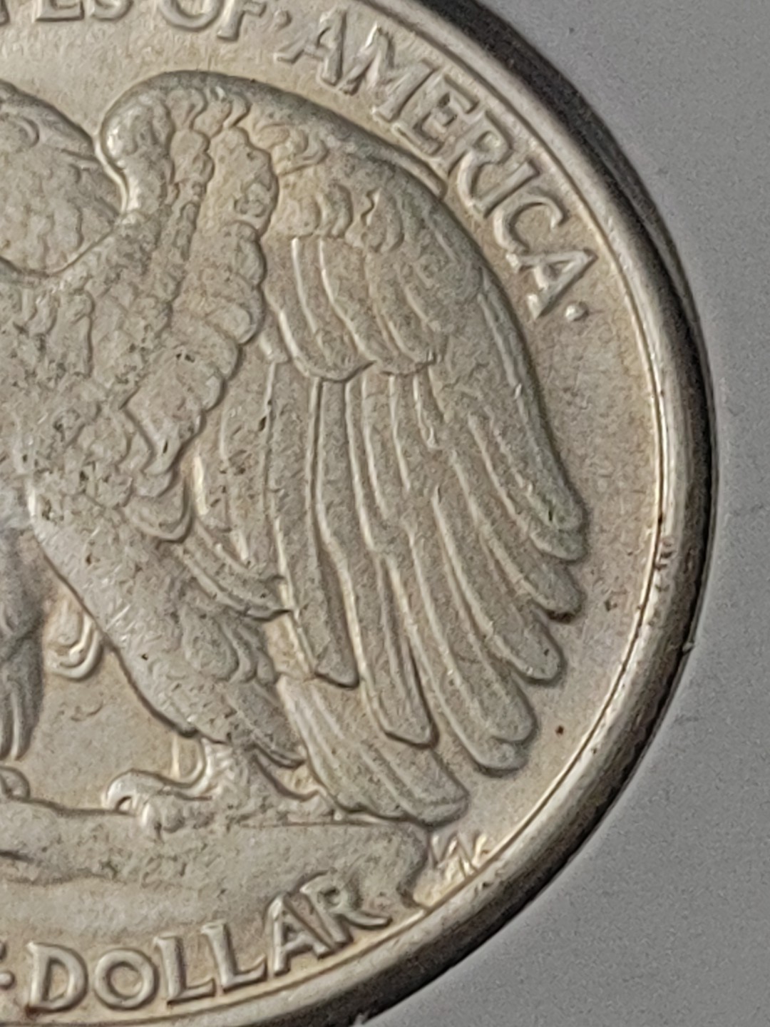 Foto 10 di 11