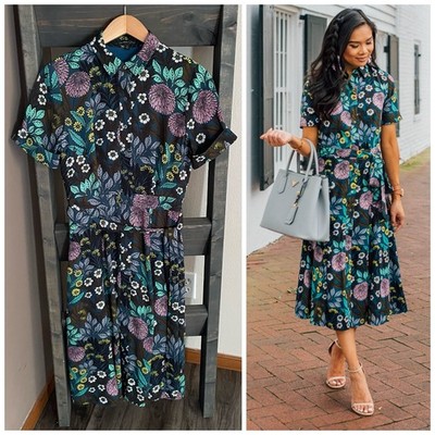 J Crew Abigail Borg Prairie Moonlight Shirt Dress Floral Midi Boho Blue Size 4