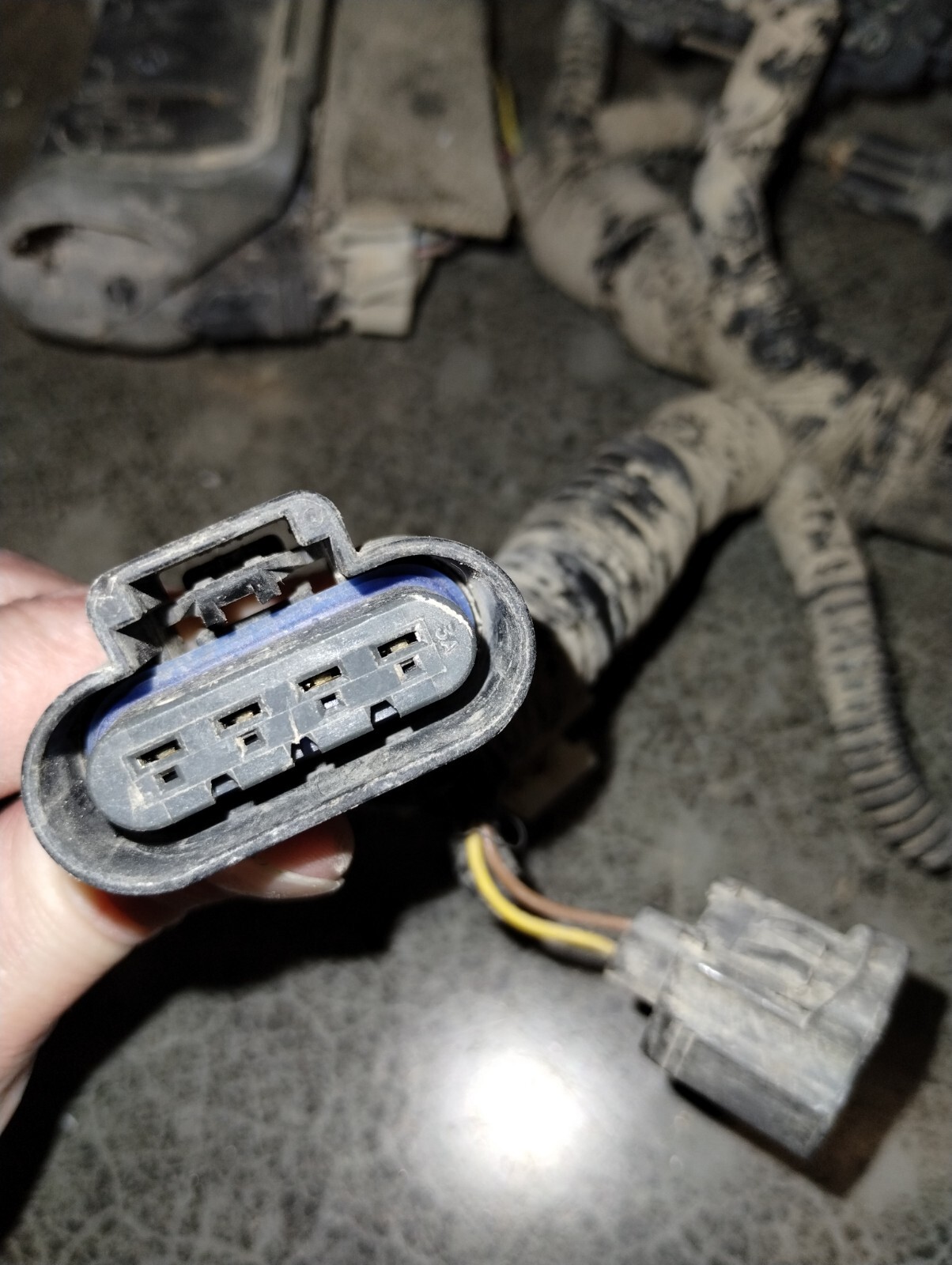 20012002 Chevrolet GMC Duramax LB7 Engine Injector Wire Harness OEM eBay