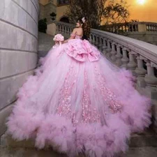 Pink Quinceanera Dresses Ball Gown Applique Lace Beads Bow Tull Tiered Sweet 16