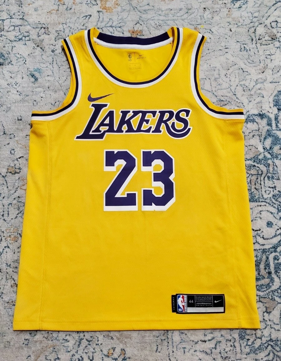 LeBron James Los Angeles Lakers Jordan Brand Unisex Swingman