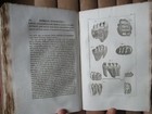 Bild 12 von 12