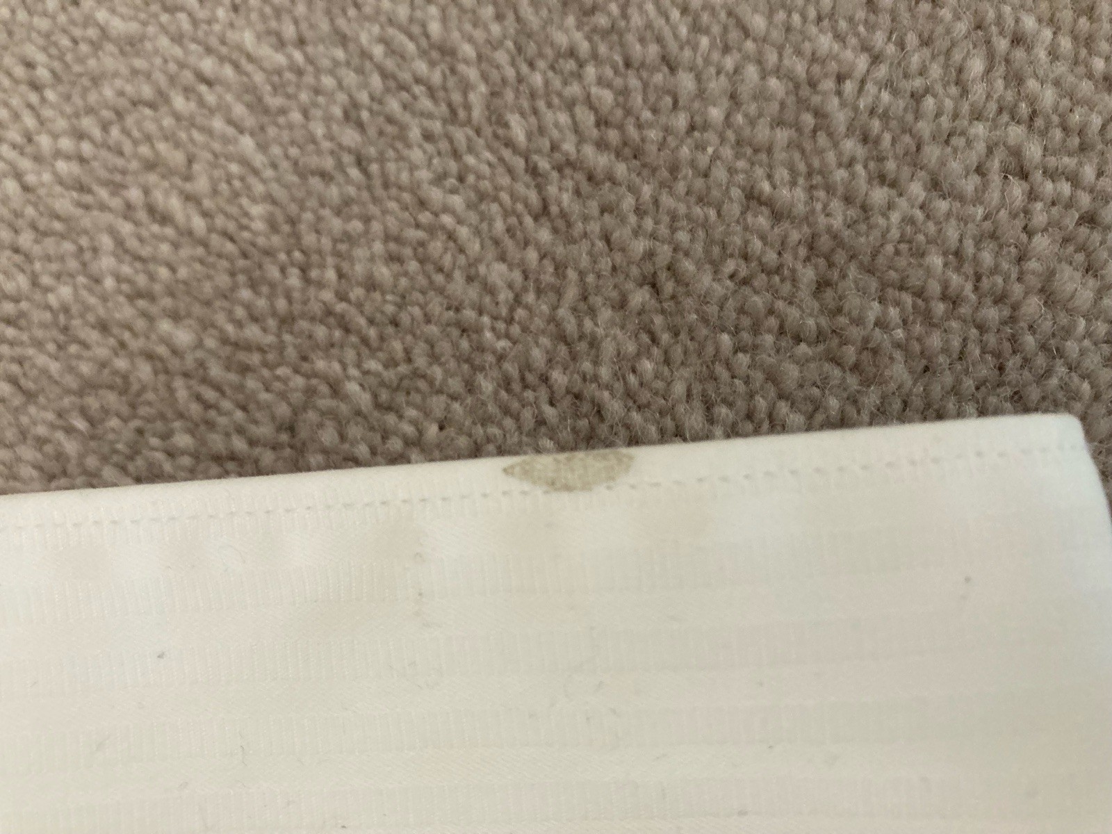 Picture 11 of 11