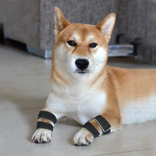 One Pair of Dog Stopper Pad Protectors for Dogs Carpal Pad Protection Front L...