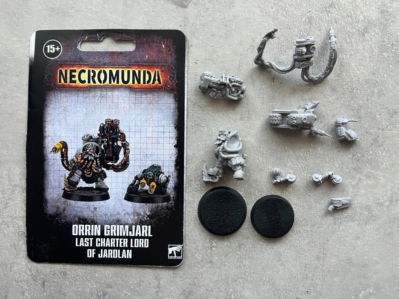 Orrin Grimjarl Last Charter Lord of Jardlan Necromunda 0$ US TARIFFS ~