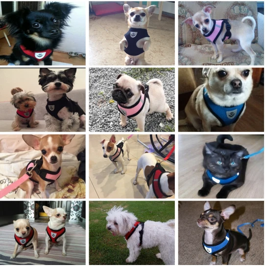 Air Mesh Puppy Small Dog Harness and Leash for Chihuahua Yorkie Pug XXS XS S M - Image 3 of 4