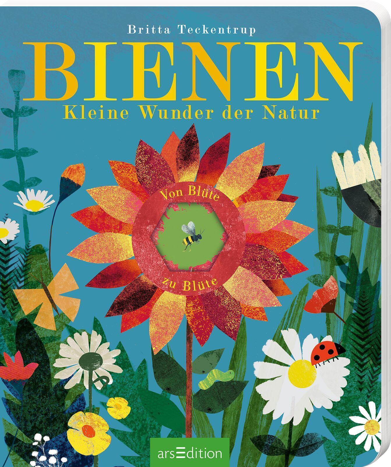 Thumbnail - Bienen | Kleine Wunder Der Natur | Maria Höck | Buch | Pappebuch Mit