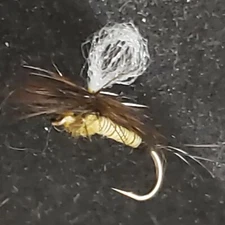 TROUT DRY FLY SIZE 18 BLUE WING OLIVE BWO LOOPWING FRONTIER FISHING FLIES