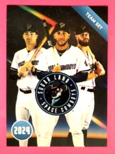 2024 Choice, Sugar Land Space Cowboys - TEAM SET HEADER CARD  Header card only
