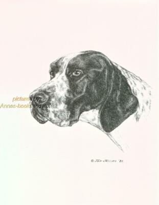 #312 ENGLISH POINTER portrait dog art print * Pen and ink drawing by Jan Jellins
