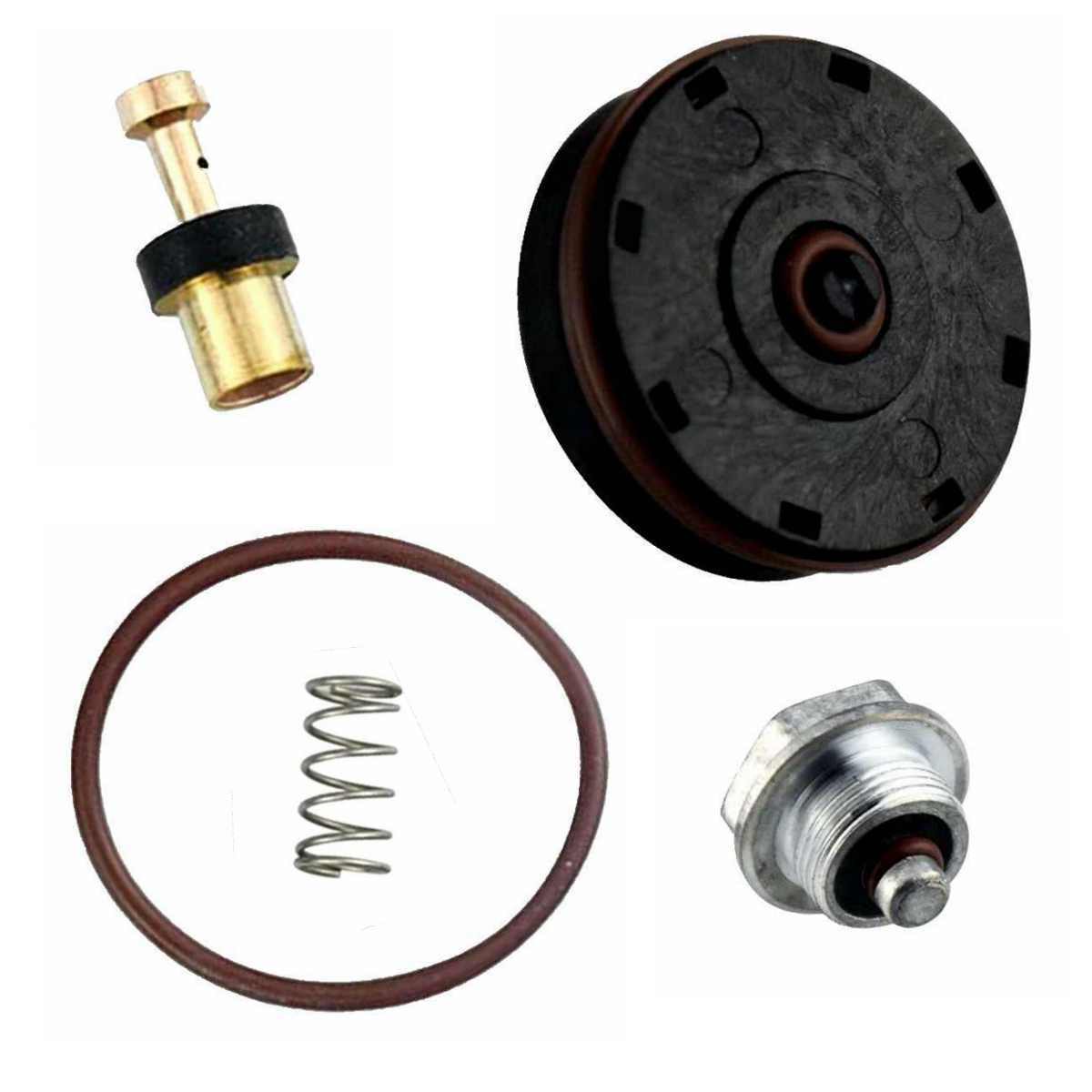 Regulator Repair Kit 1wc94 1wc94 1wc95
