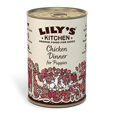 lily's kitchen recovery dog food
