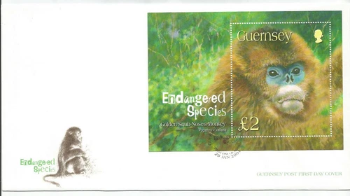 GUERNSEY 2004 MONKEY MINIATURE SHEET ON UNADDRESSED FIRST DAY COVER