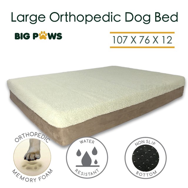 big paws dog bed