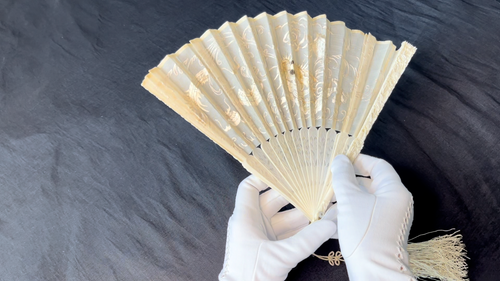 Antique Canton Fan Chinese Export Silk Embroidery Exquisite Carving - Video 1 of 1