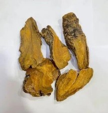 Pure Revan Chini Whole Rheum Emodi Indian Rhubarb Revand Khatai Revanchini Herbs