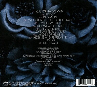 MISSING PERSONS DREAMING NEW CD