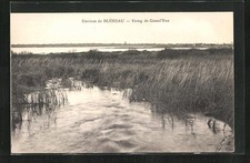 Old postcard Bleneau, Etang de Grand ́Rue, reed landscape on the shore