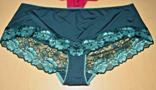 2 NWT Adore Me Green Red Hipster Bikini Panty 4XL 4X Lace details Lot - Picture 6 of 12