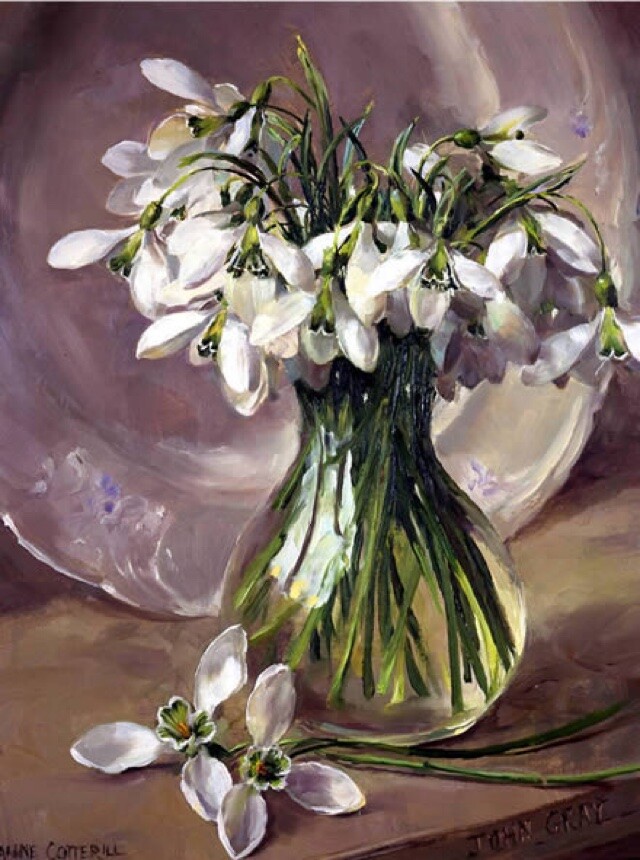 Anne Cotterill Art Blank Greeting/ Birthday Card - John Gray Snowdrops Flowers