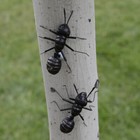 Bild 3 von 12
