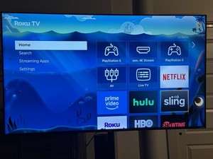 55 Inch TV with Rolling Stand
