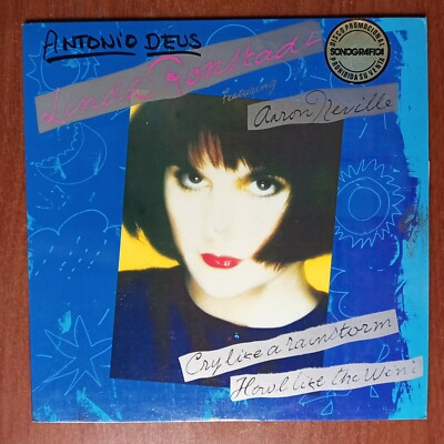 リンダ・ロンシュタット レコード Cry Like a Rainstorm Linda Ronstadt Feat. Aaron Neville - Cry Like A Rainstorm [1989