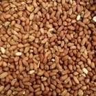 Wild Bird Food - Peanuts 25kg - Safe Oil High Nuts Quality Fresh .