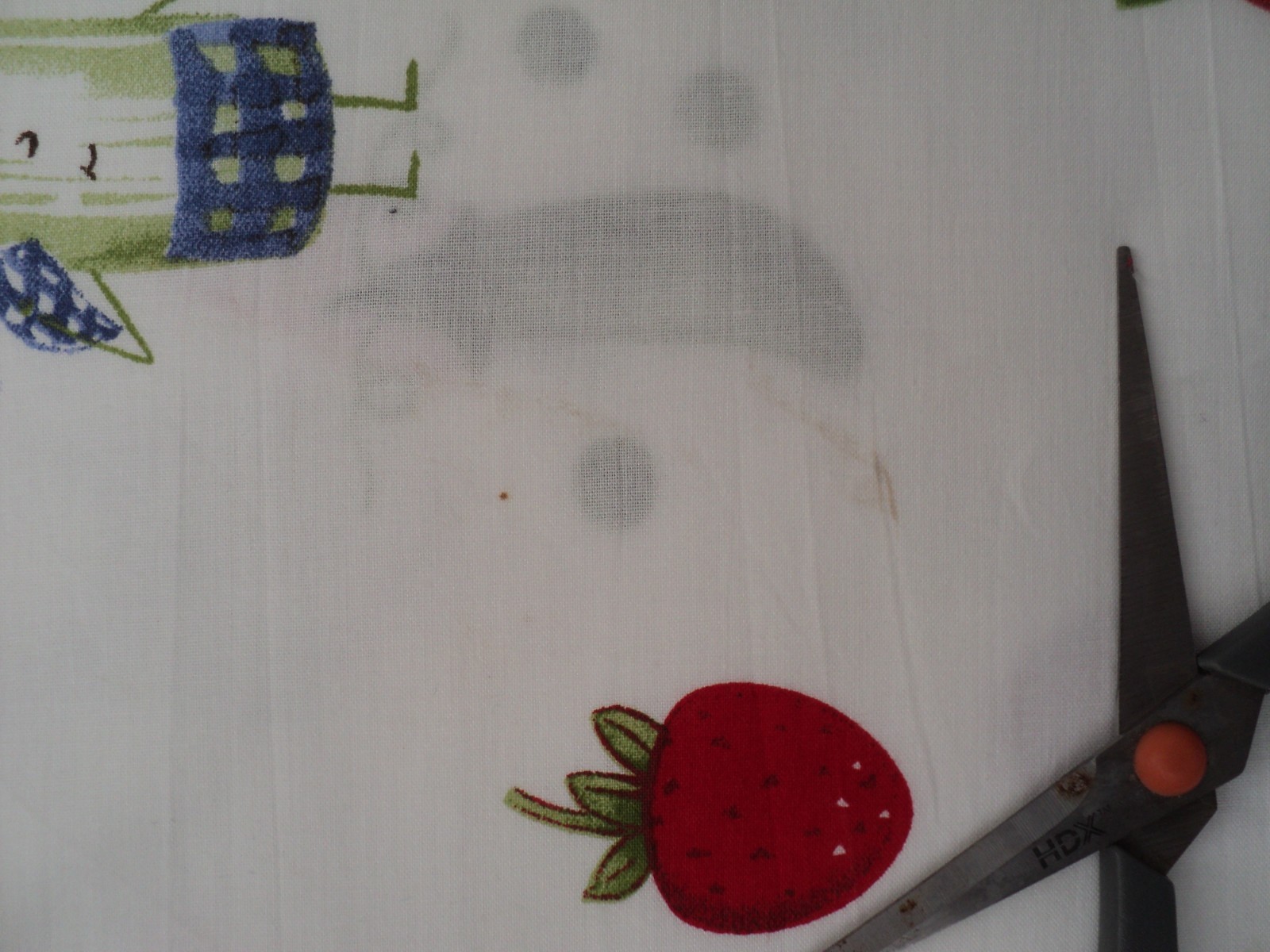 Bild 7 von 8