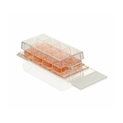 2 Thermo Scientific Nunc Lab-Tek Chamber Slide 8 Well Glass Slide