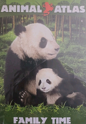 Animal Atlas: Family Time [DVD](中古品) Animal Atlas: Family Time (DVD, 2011) 843501005583| eBay