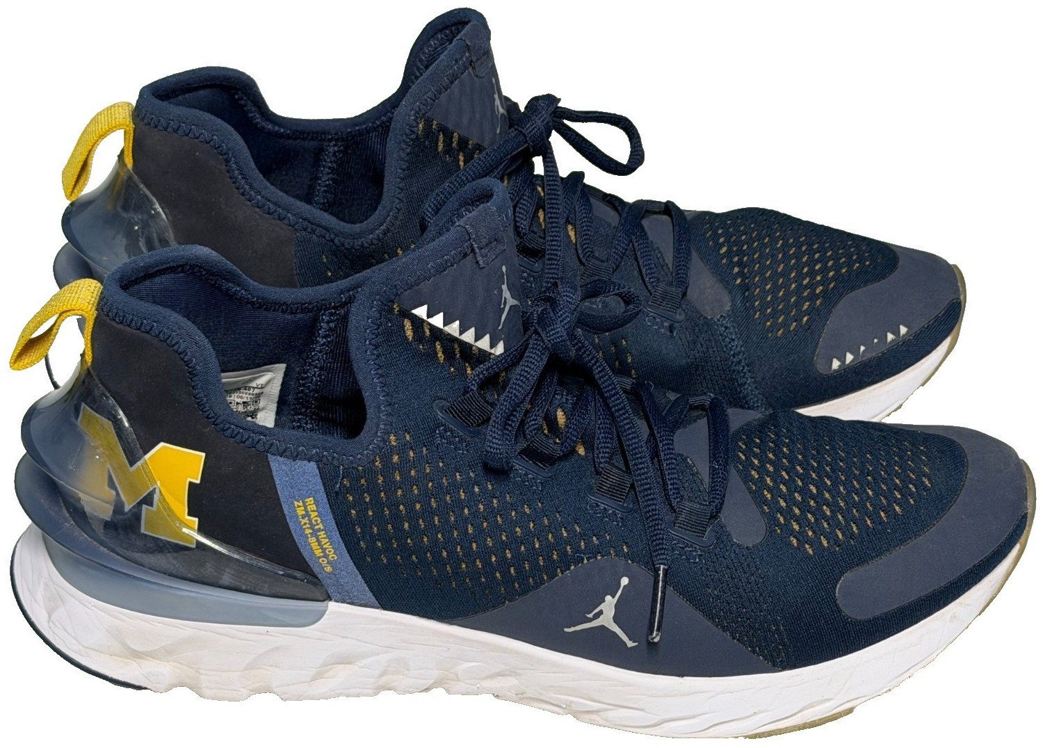 Jordan Trainer 1 Low Michigan for Sale | Authenticity Guaranteed