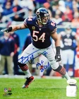 Brian Urlacher Chicago Bears HOF Signed 8x10 Photo JSA Witnessed