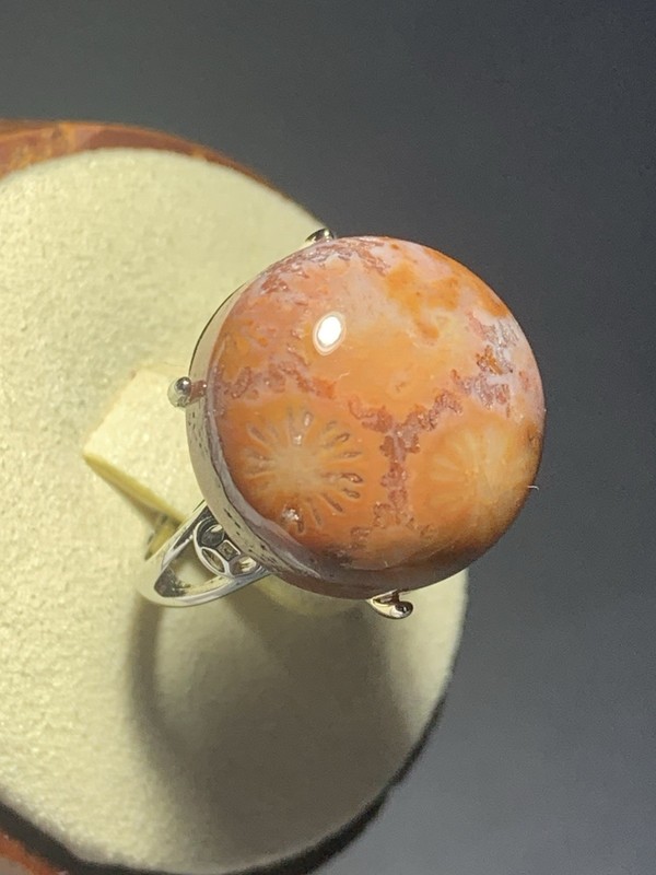 Natural Silicified Coral Fossil Flower Agate Ring/ Adjustable
