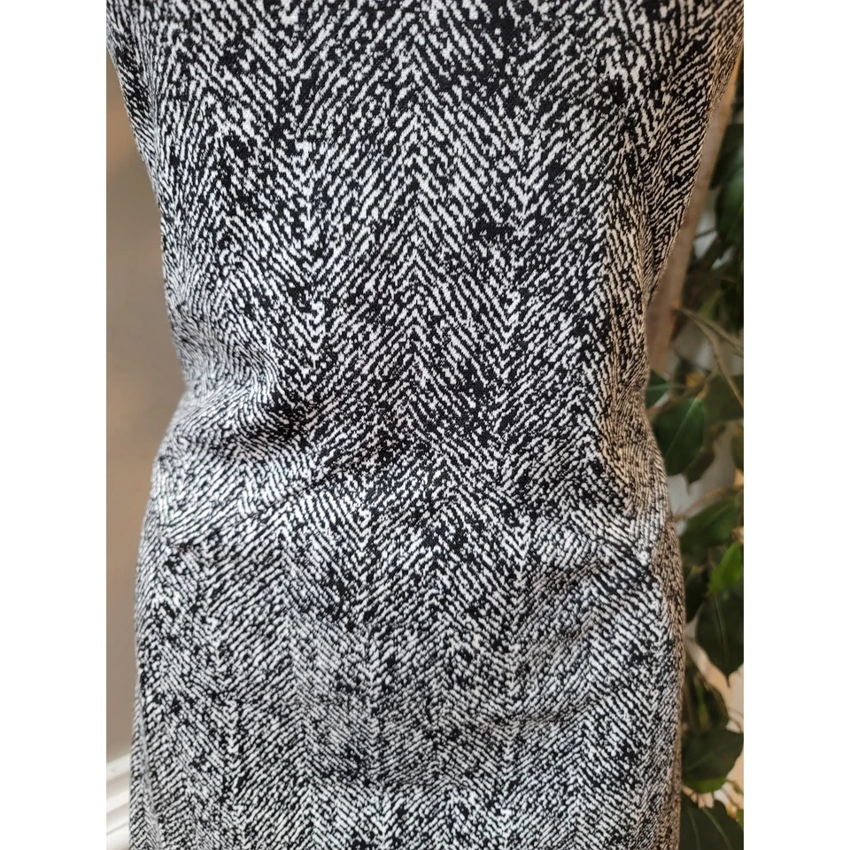 Express Dress 女式中号黑色白色人字形 V 领短袖合身 — 第 4/4 张图片