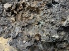 Bild 2 von 8