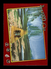 Bild 111 von 220