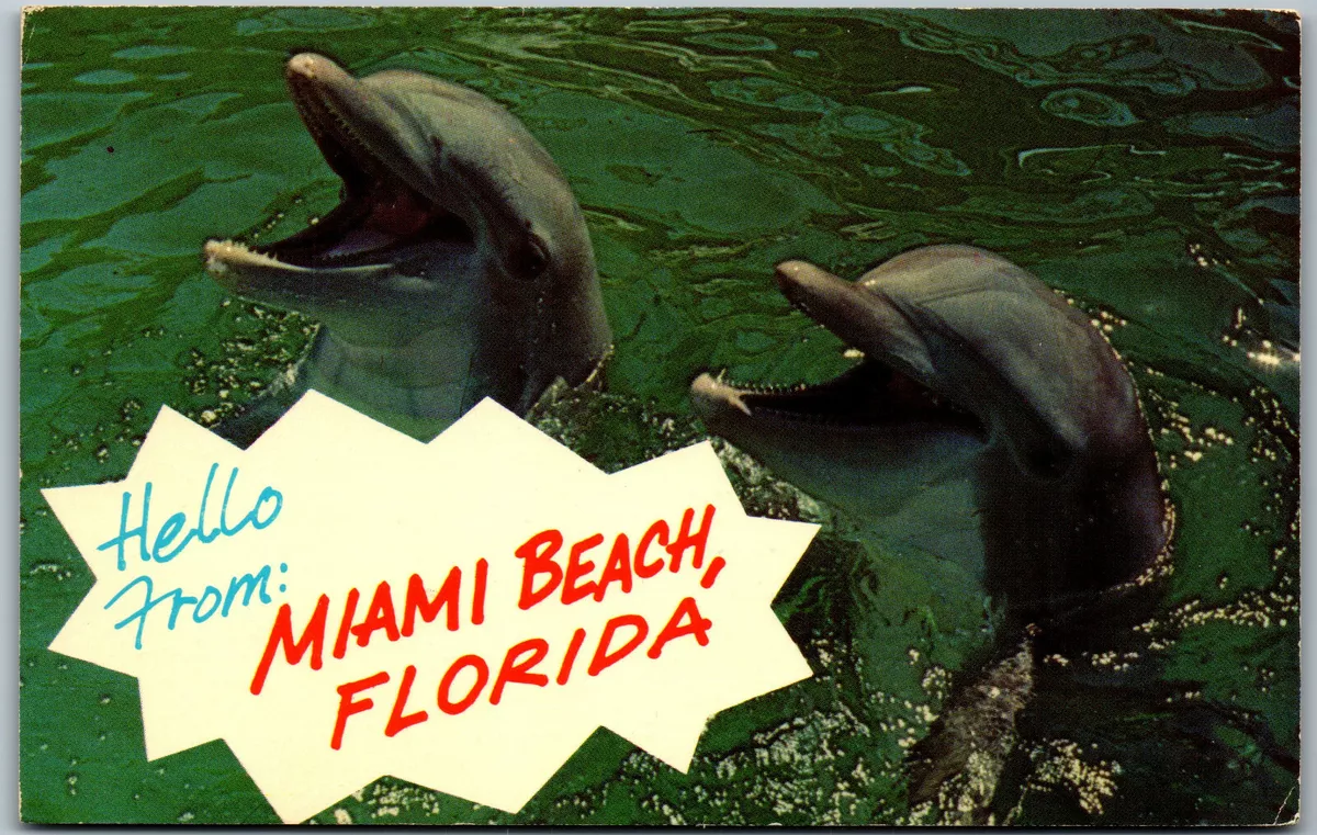 Postcard - Hello from Miami Beach, Florida