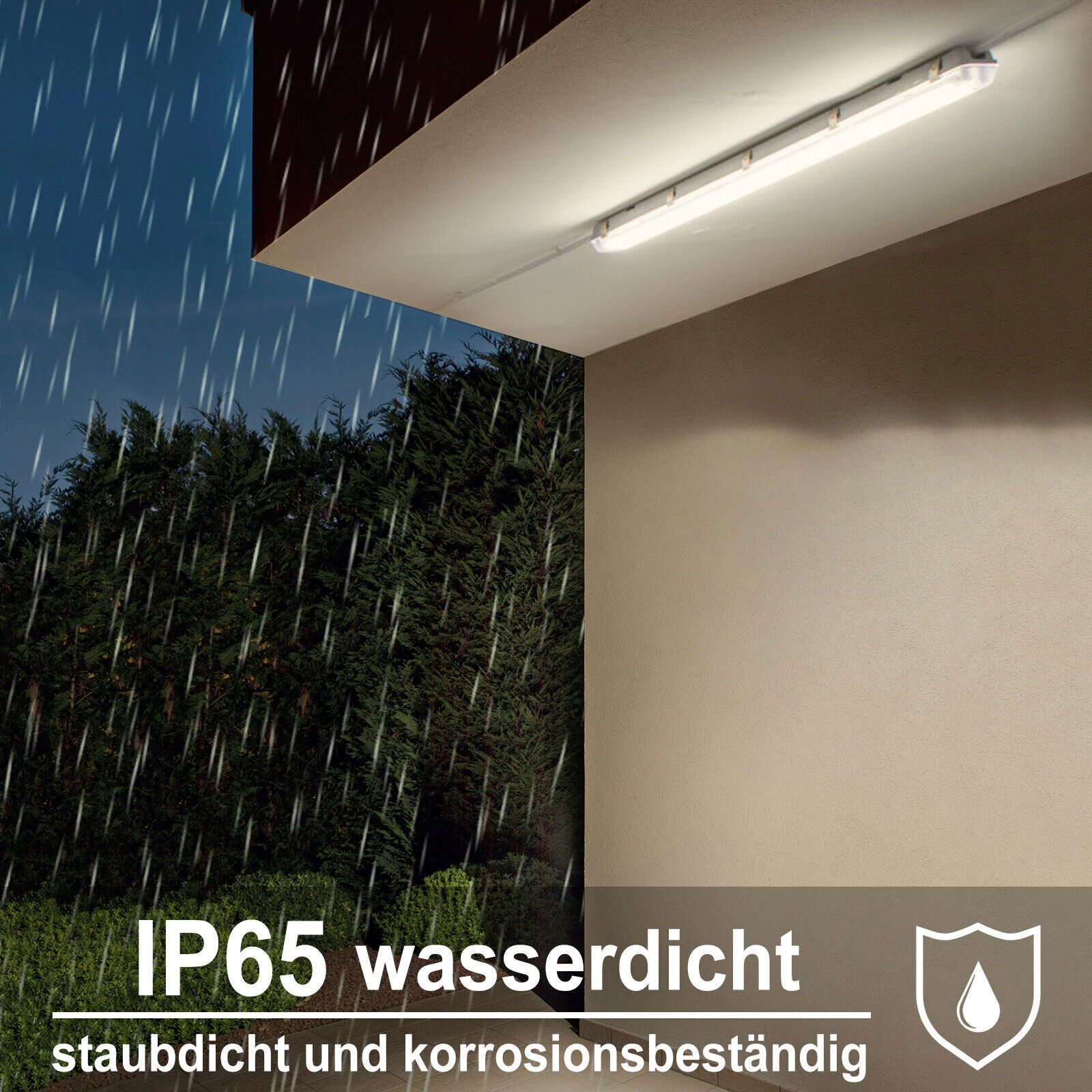 Bild 2 von 12
