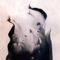 Hansen Marla - Salt - Vinyl Record - G4Z