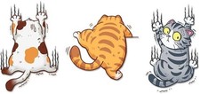 Funny Three Cats Scratch Cover Vinyl Sticker for Car, Truck, Moto Size: Medium