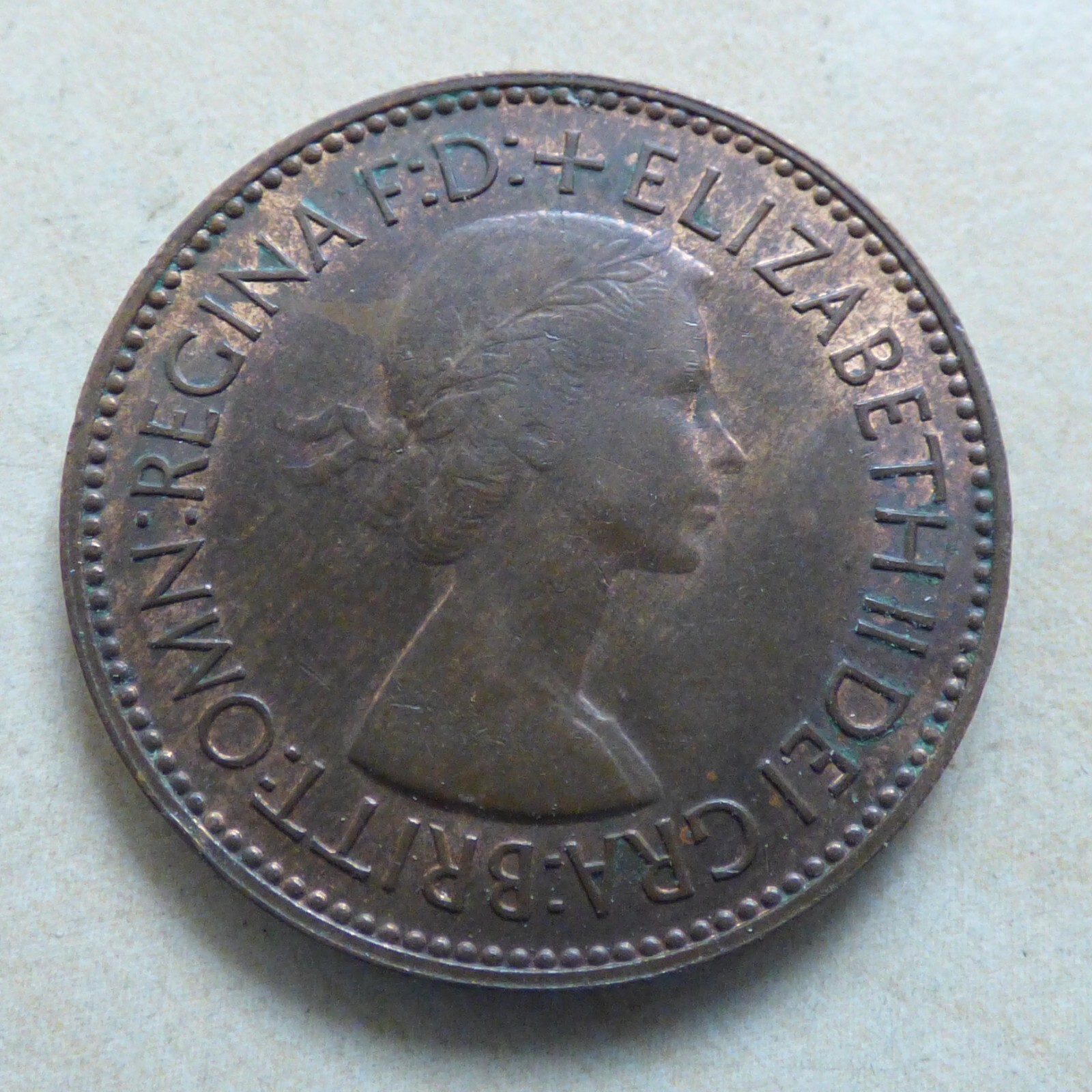 Picture 6 of 189