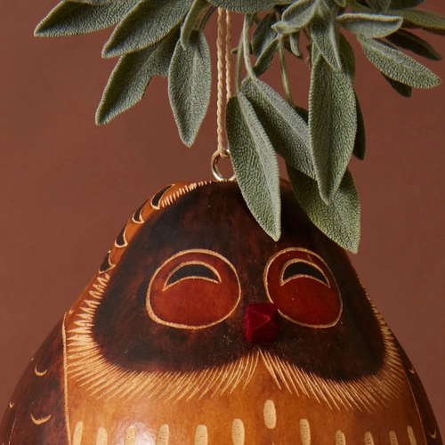Owl Gourd Bird House - Picture 2 of 8