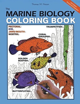 Marine Biology Coloring Book, 2e, The Coloring Concepts Inc Taschenbuch Englisch